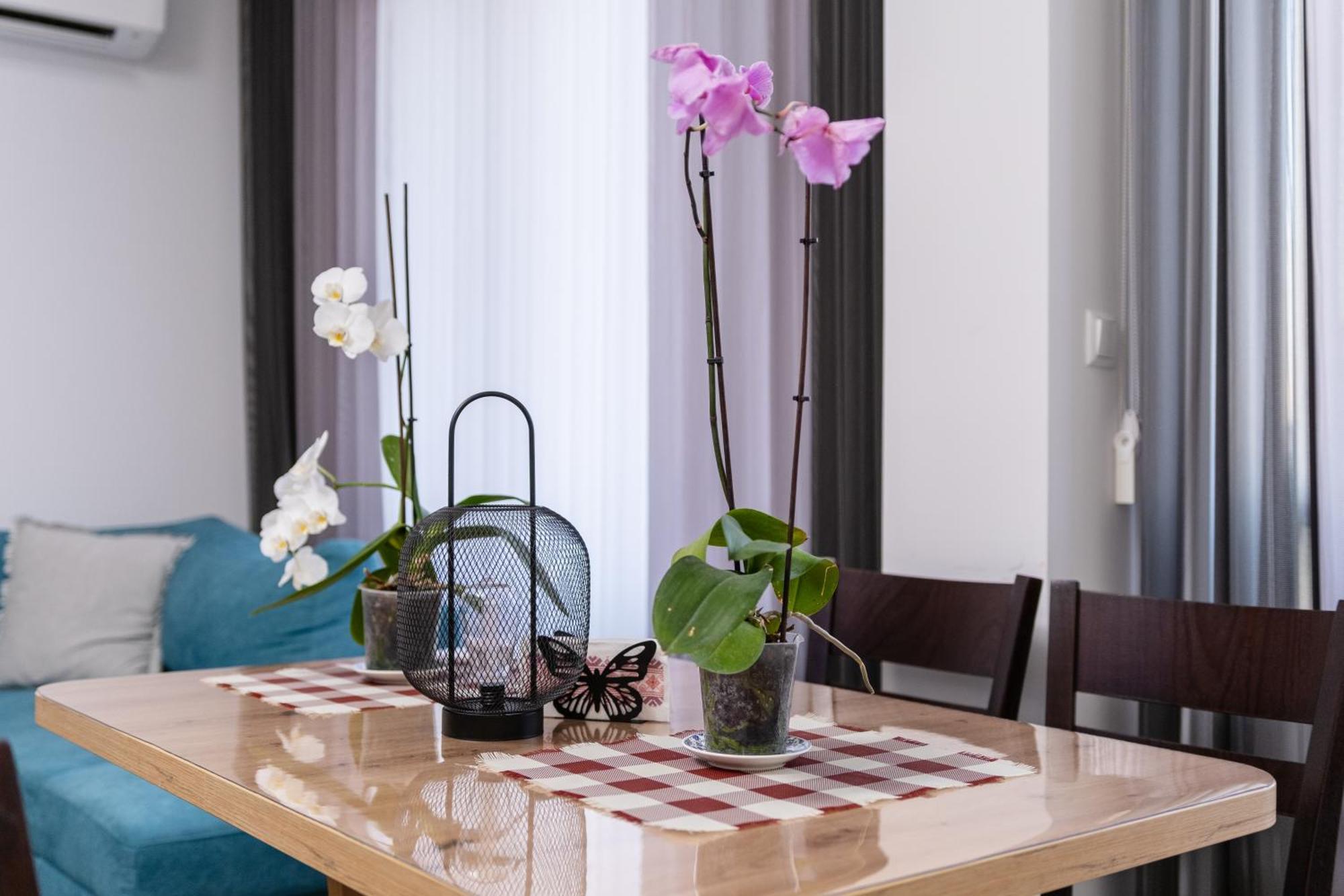 1-Bedroom Apartment With Free Private Parking Plovdiv Kültér fotó